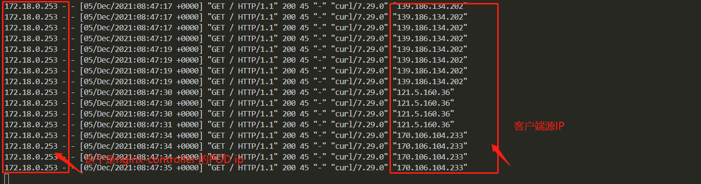 image-20211205164907296