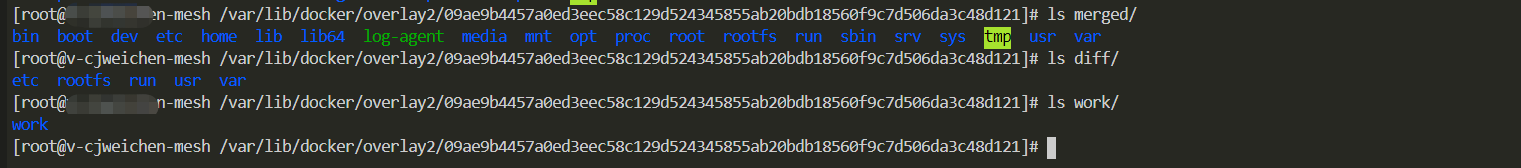 image-20220119173509241